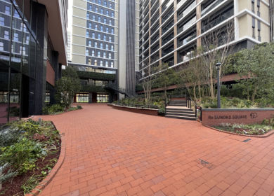 りすのこスクエアの写真