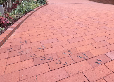 りすのこスクエアの写真